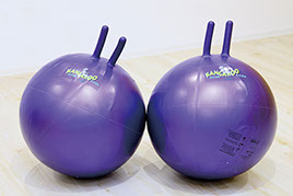 カンガルーボール